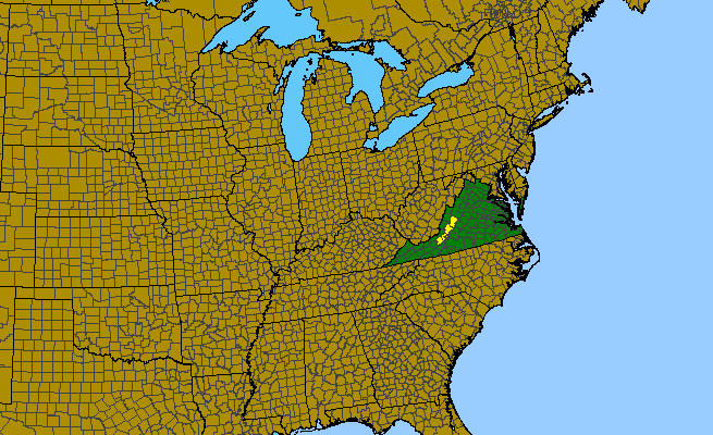 The range of Clematis addisonii